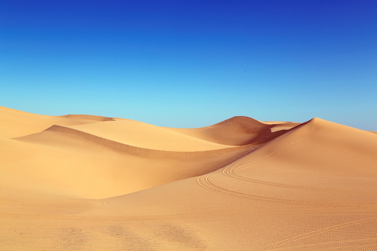Dunas